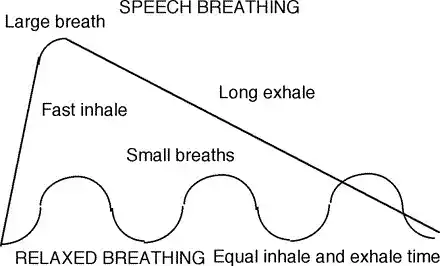 Diaphragmatic vs thoracic breathing